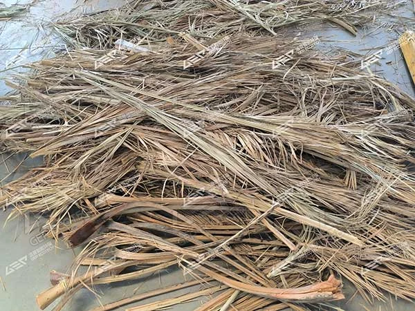 废弃的棕榈叶 废弃的棕榈叶